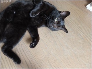 s-DSCF5256.jpg