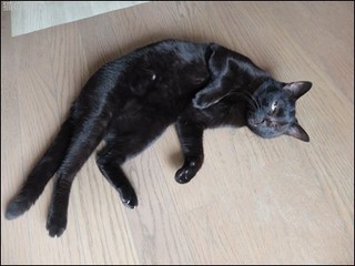s-DSCF5258.jpg