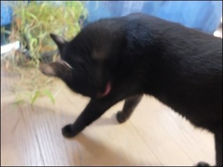 s-DSCF5277.jpg