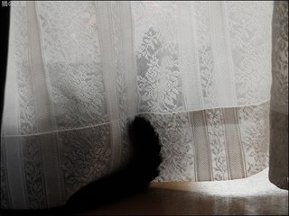 s-DSCF5281.jpg