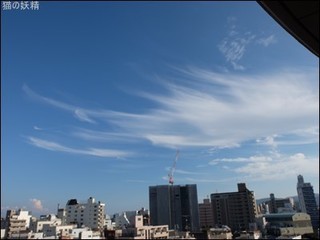 s-DSCF5287.jpg