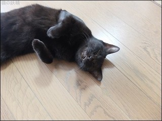 s-DSCF5294.jpg
