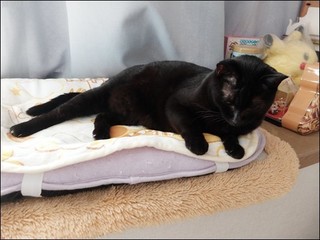 s-DSCF5310.jpg