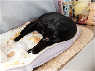 s-DSCF5317.jpg