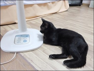 s-DSCF5318.jpg