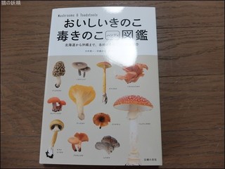 s-DSCF5343.jpg