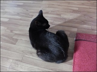 s-DSCF5350.jpg