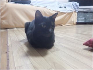 s-DSCF5354.jpg