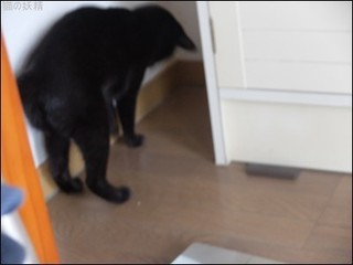 s-DSCF5389.jpg