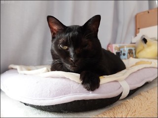 s-DSCF5402.jpg