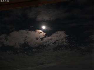 s-DSCF5436.jpg