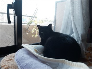 s-DSCF5455.jpg