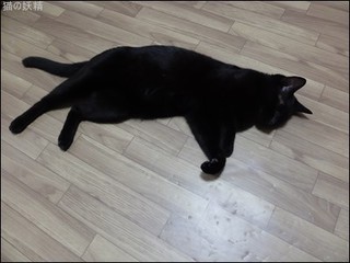 s-DSCF5493.jpg
