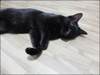 s-DSCF5495.jpg