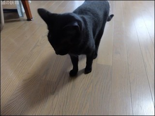 s-DSCF5502.jpg
