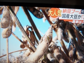 s-DSCF5503.jpg