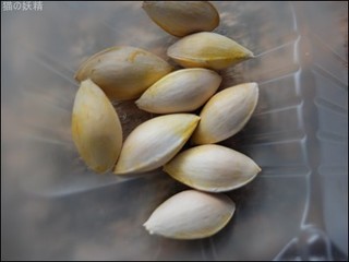 s-DSCF5517.jpg