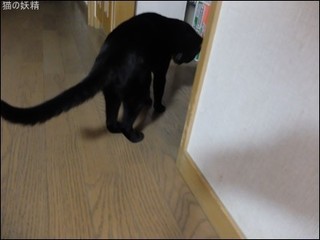 s-DSCF5555.jpg