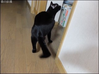 s-DSCF5557.jpg
