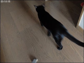 s-DSCF5664.jpg