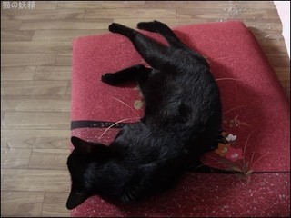 s-DSCF5688.jpg