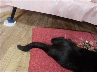 s-DSCF5691.jpg