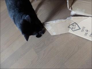 s-DSCF5693.jpg