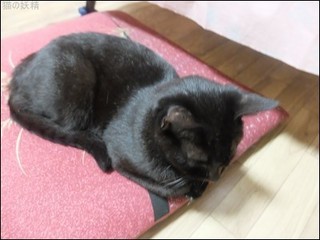s-DSCF5699.jpg
