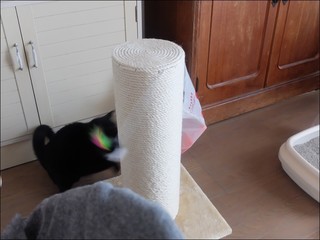 s-DSCF5705.jpg