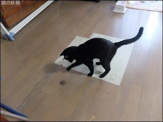 s-DSCF5753.jpg