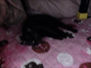 s-DSCF5758.jpg