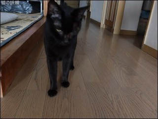 s-DSCF5761.jpg