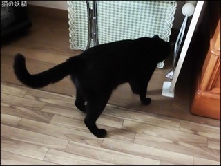 s-DSCF5776.jpg