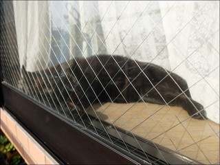 s-DSCF5777.jpg