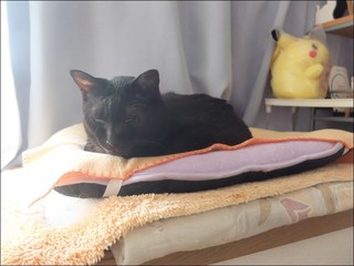 s-DSCF5778.jpg