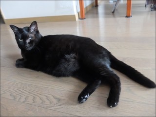 s-DSCF5784.jpg