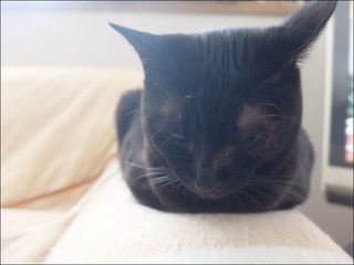 s-DSCF5791.jpg