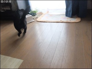 s-DSCF5802.jpg