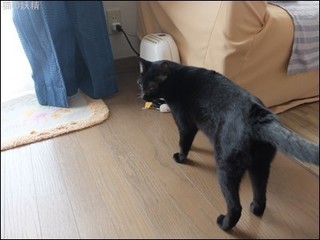 s-DSCF5805.jpg