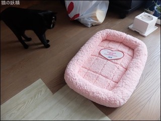 s-DSCF5808.jpg