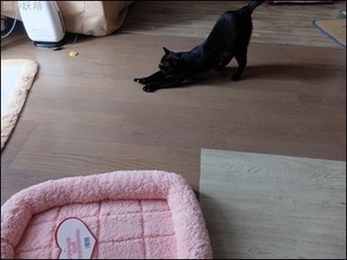 s-DSCF5809.jpg