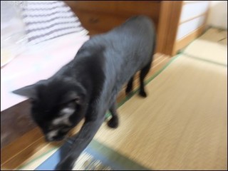 s-DSCF5810.jpg