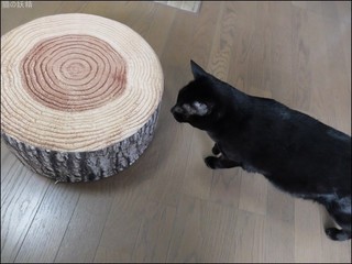 s-DSCF5852.jpg