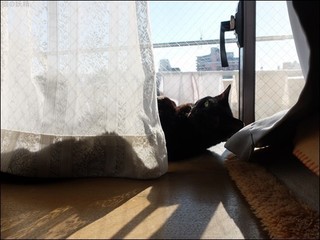 s-DSCF5865.jpg