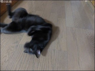 s-DSCF5866.jpg