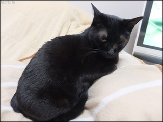 s-DSCF5871.jpg