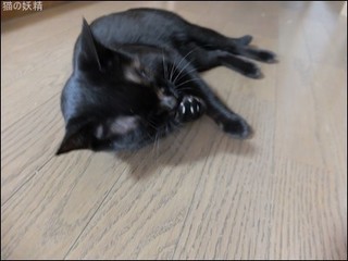s-DSCF5874.jpg