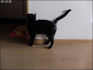 s-DSCF5880.jpg