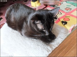 s-DSCF5887.jpg