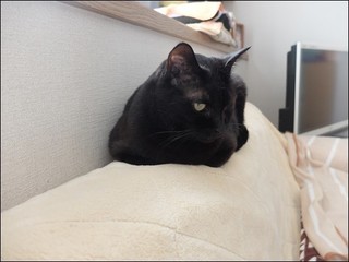 s-DSCF5915.jpg